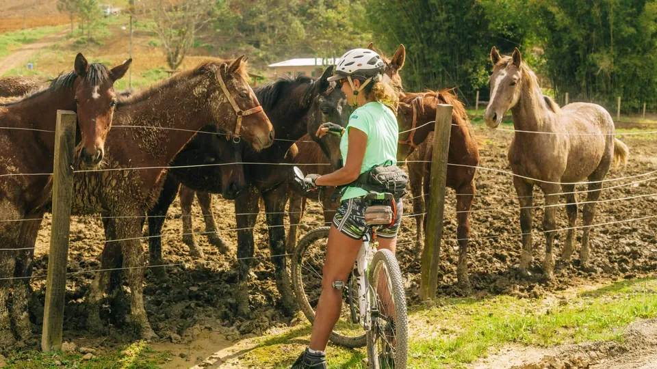 Capa do post: Antes do CicloFest Rural: uma rota vivida com a Triskel Bike