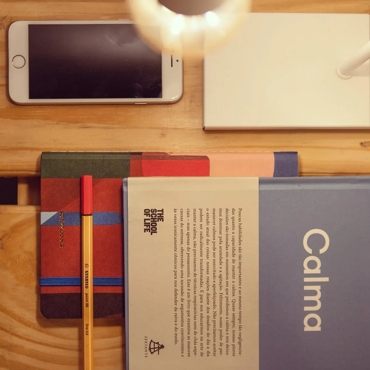 Livro Calma e celular sobre uma superfície clara no apartamento 403