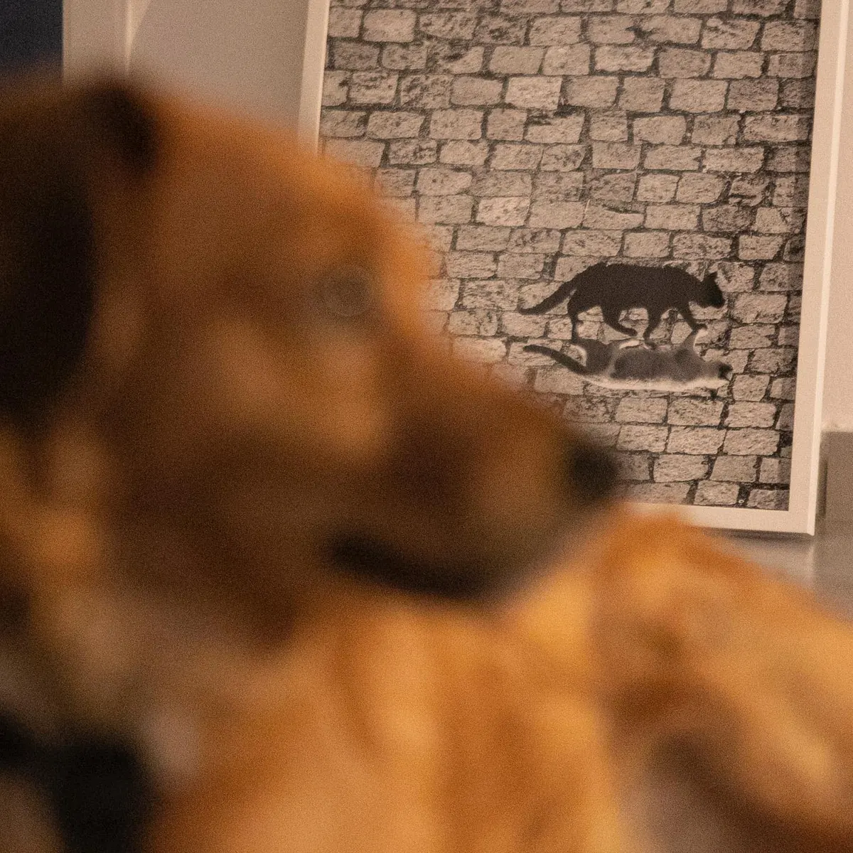 Cachorro desfocado em frente a uma ilustração no apartamento 403
