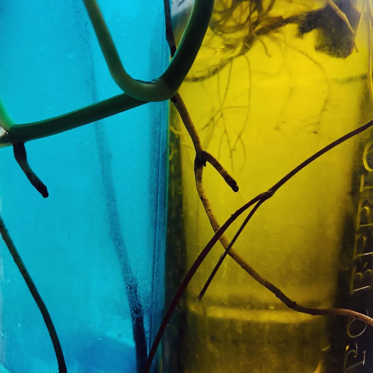 Vidro azul e amarelo iluminado no apartamento 403