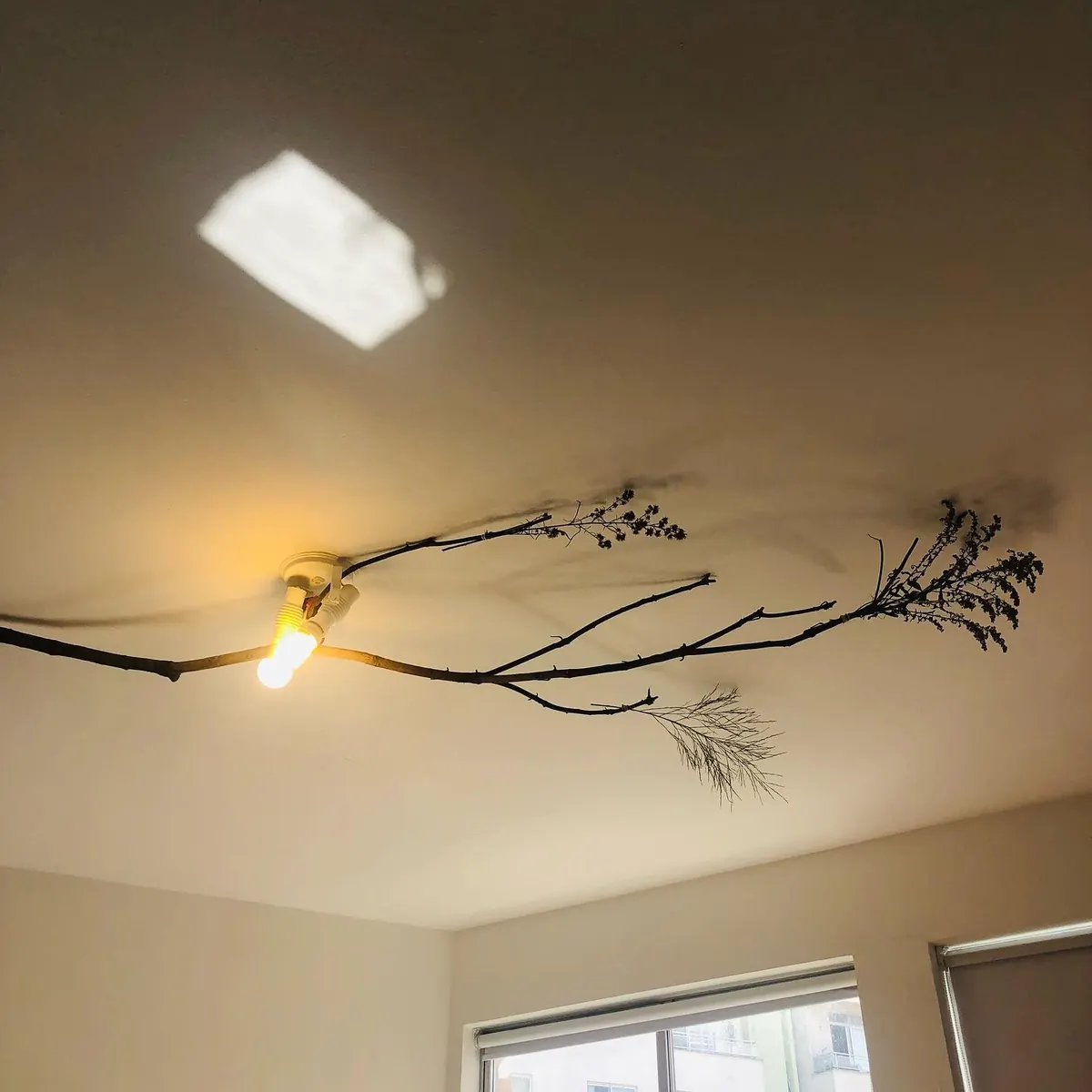 Luminária e galho seco no teto do apartamento 403