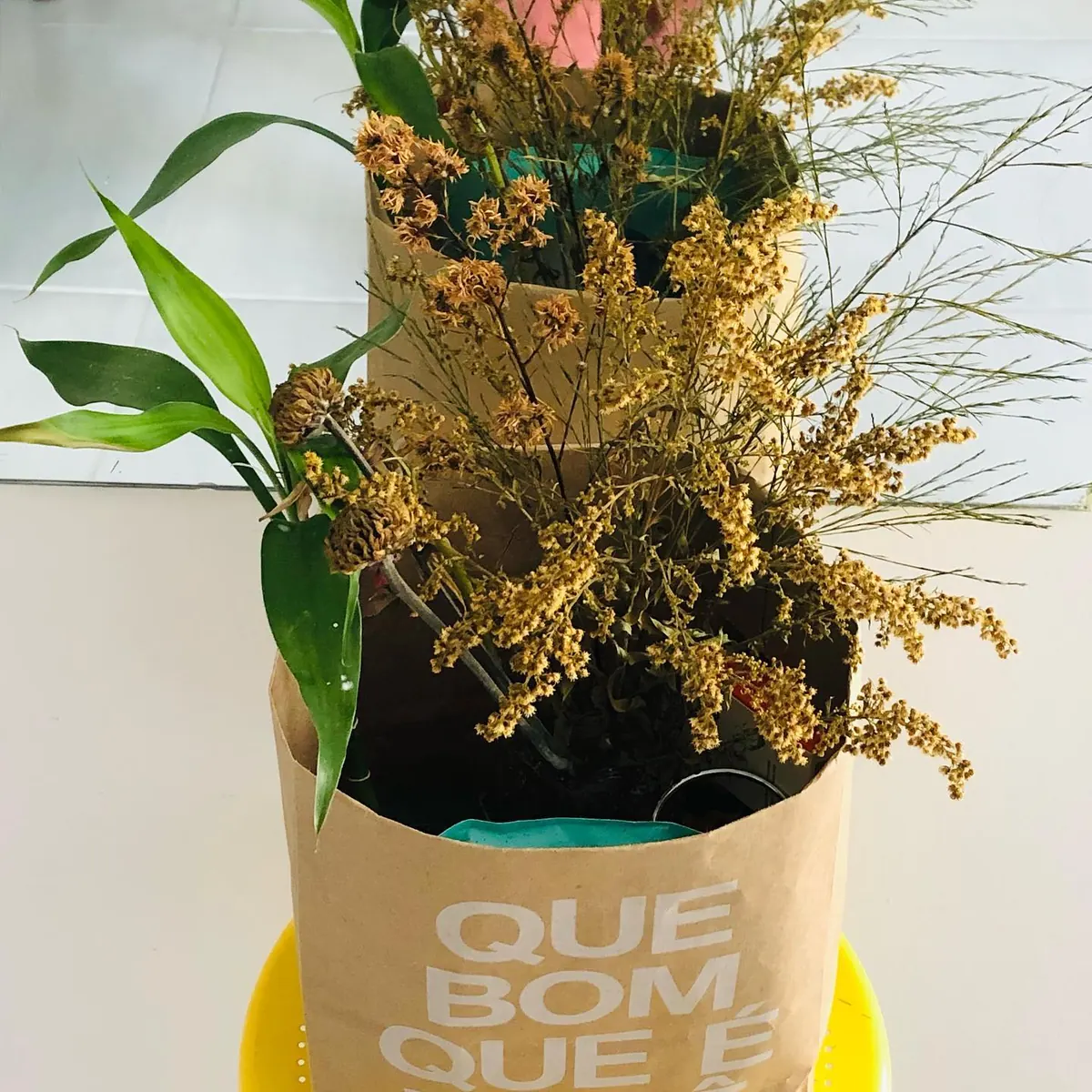 Flores secas em vaso amarelo no apartamento 403
