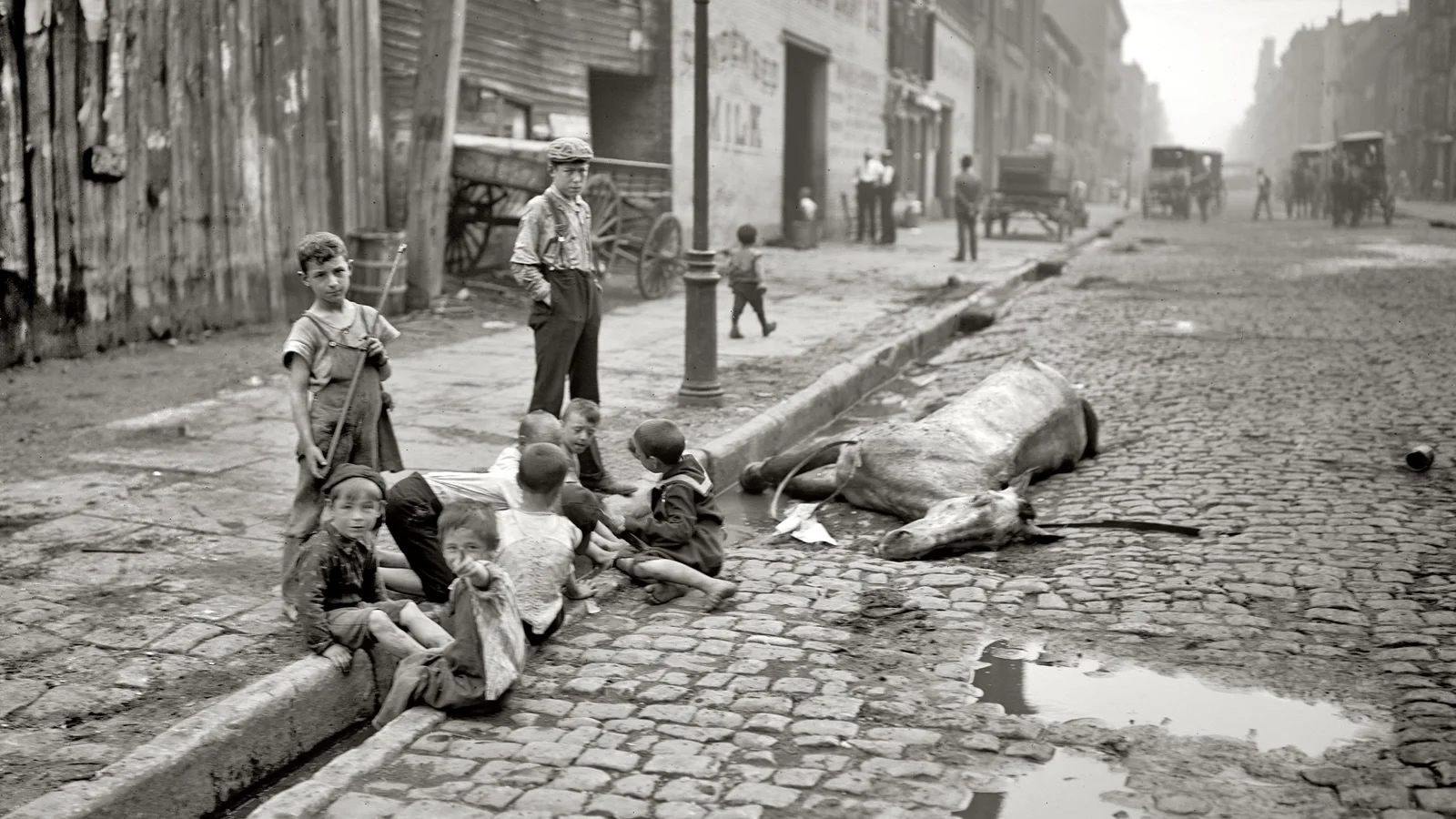 Crianças reunidas ao redor de um cavalo morto em uma rua de Nova York, em fotografia do início do século XX